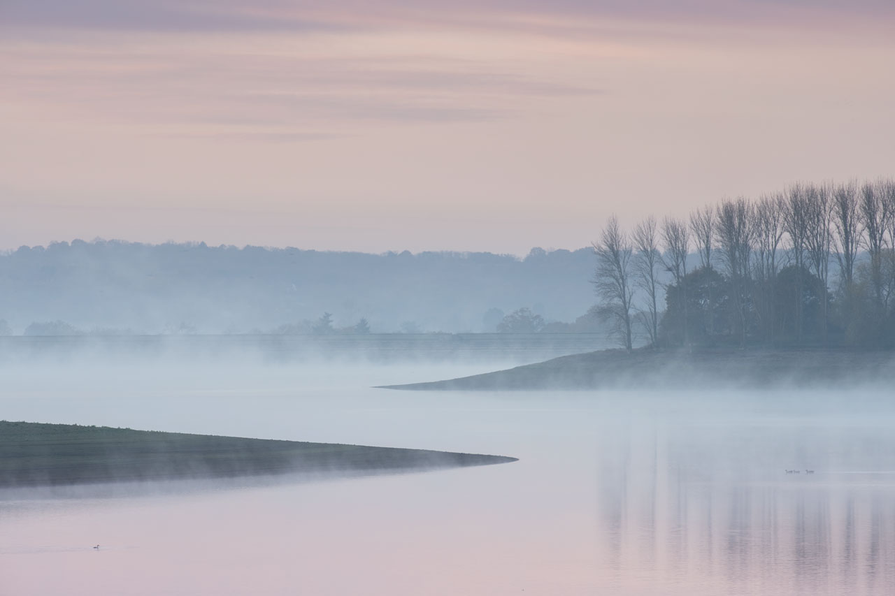 Bough beech reservoir pink mist dawn